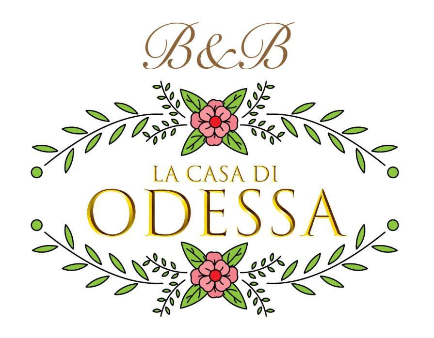 לינה וארוחת בוקר Arcevia La Casa Di Odessa מראה חיצוני תמונה